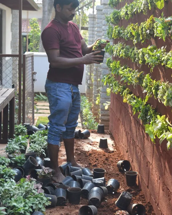 Getting my hands dirty is part of the job. Here, I am in the middle of installing a new vertical garden, surrounded by saplings ready to be planted. This is the groundwork for creating a beautiful living wall.