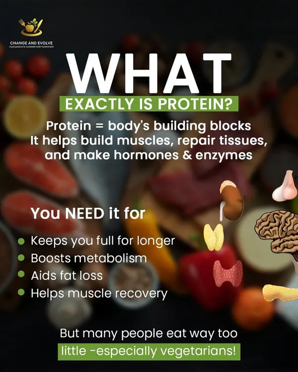 What exactly is protein? It's your body's building blocks, essential for building muscle, repairing tissue, and making hormones. Many people, especially vegetarians, don't get enough.