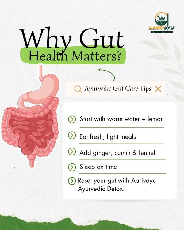 Your gut is your body's second brain. We believe that when it's healthy, your mood, energy, and immunity thrive. We offer simple Ayurvedic tips and a full Ayurvedic Detox program to reset your gut health.