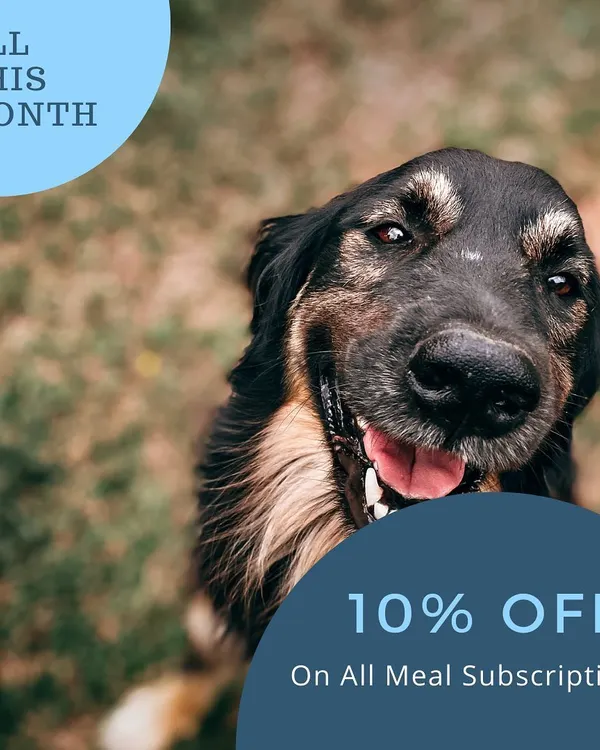 To help you get started on a fresh food journey, I'm offering 10% off on all new meal subscriptions. It's a great way to see the difference fresh food can make.