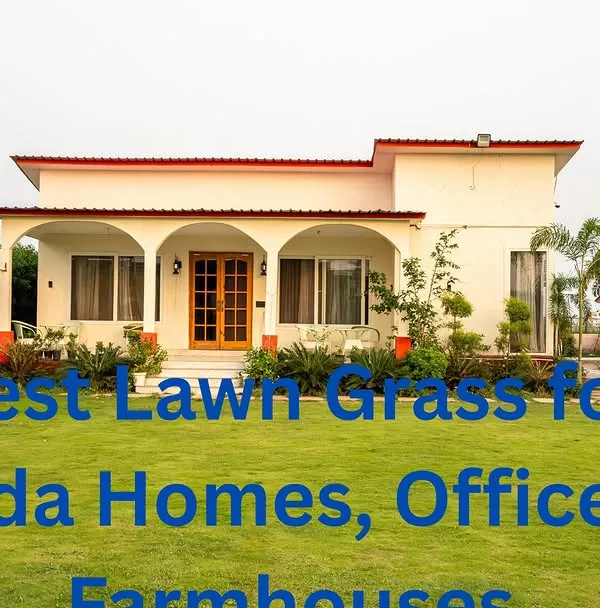 A finished lawn in front of a beautiful farmhouse in Noida. I select the best grass varieties that thrive in the local climate, ensuring a green lawn year-round.