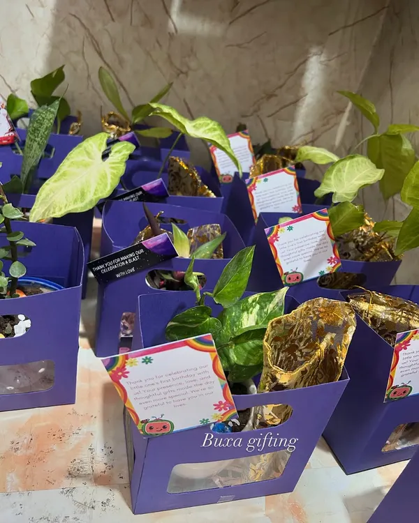 Sustainable gifting can be affordable! These lavender-themed hampers feature a ceramic planter and a potli of dry fruits, making a big impact on a small budget.