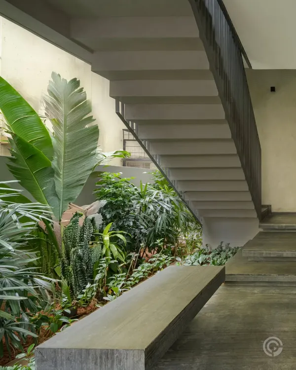 A concrete staircase is softened by a lush indoor garden planted at its base. This juxtaposition of hard, brutalist forms with soft, living nature is a recurring theme in our work, creating a balanced and earthy environment.
