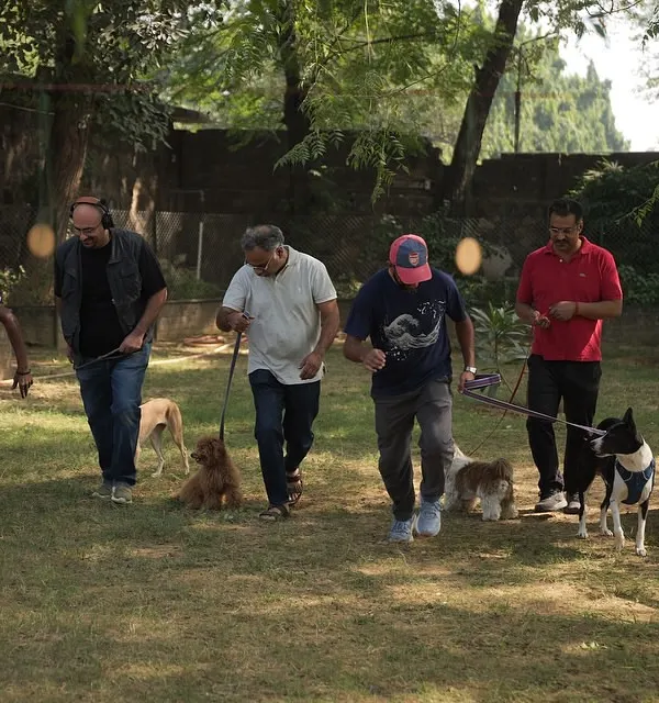 A shot from one of our dog parties at the Mandi Valley farm. It's a great opportunity for dogs and their parents to socialize in a safe and fun environment.