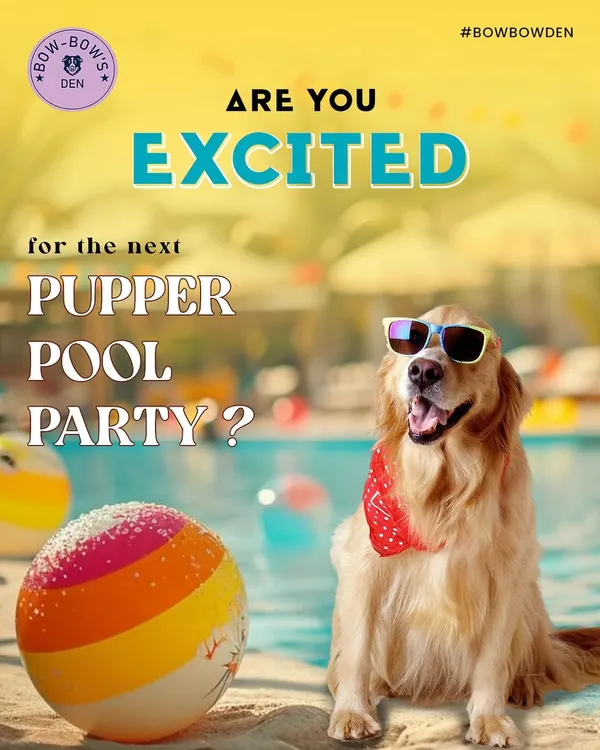 Welcome to your dog's happy place. We create unforgettable parties and events where your furry friend can play, socialize, and celebrate in a safe and fun environment.