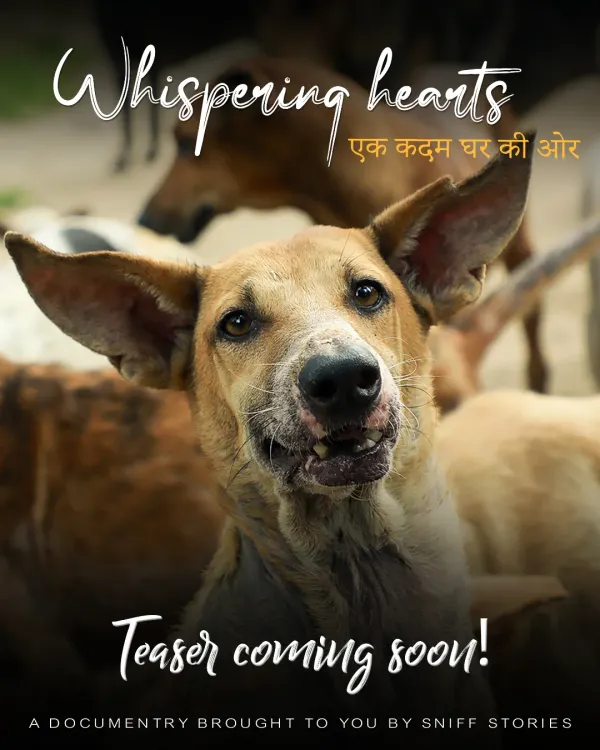 This is the face of hope. This poster for our documentary, 'Whispering Hearts', features a resilient shelter dog whose eyes tell a story of survival and the longing for a home. Our film aims to give a voice to these incredible animals.