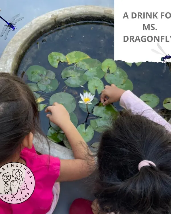 Our little explorers get up close with nature, like these two discovering the mini-ecosystem in our water lily pond. We encourage this curiosity, which is fundamental to our nature-based learning approach.