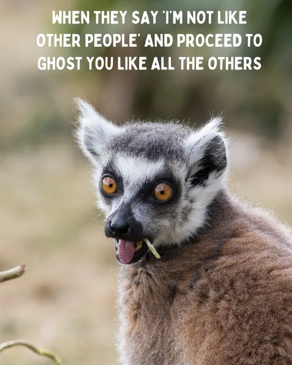 We've all been there. They say they're different, and then they disappear just like all the others. The modern dating experience can be wild.