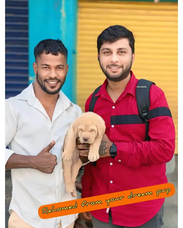 Me with a happy customer and his new Labrador puppy. It's a great feeling to help someone find their dream pup.