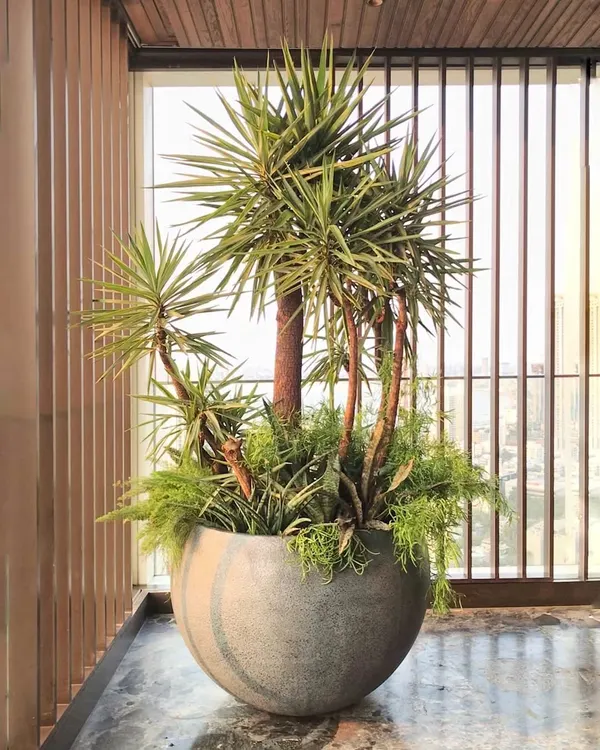 This is our "Contained Maximalism" philosophy in action. A single, giant 4-foot pot becomes a complete garden, filled with a curated bunch of greens that add texture, height, and drama.