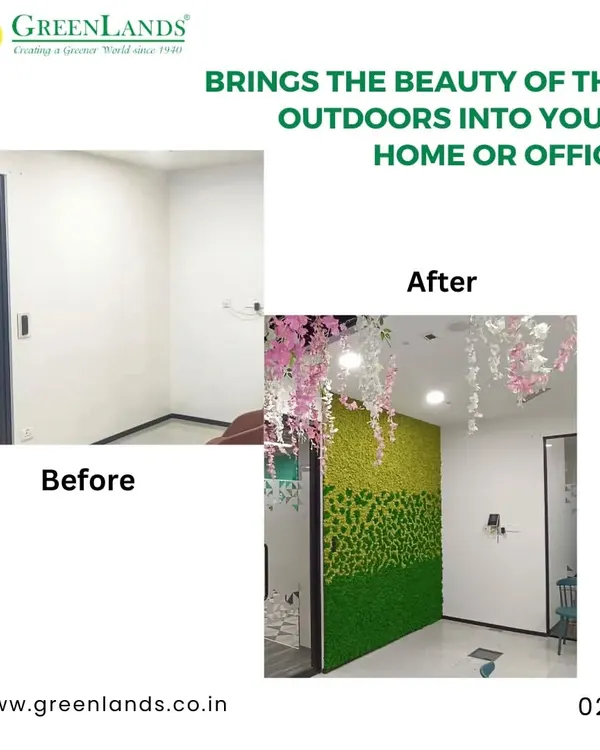 We transformed a plain office wall into a vibrant, living masterpiece. This before-and-after shows how a preserved moss wall can bring nature indoors, improving aesthetics and acoustics with zero maintenance.