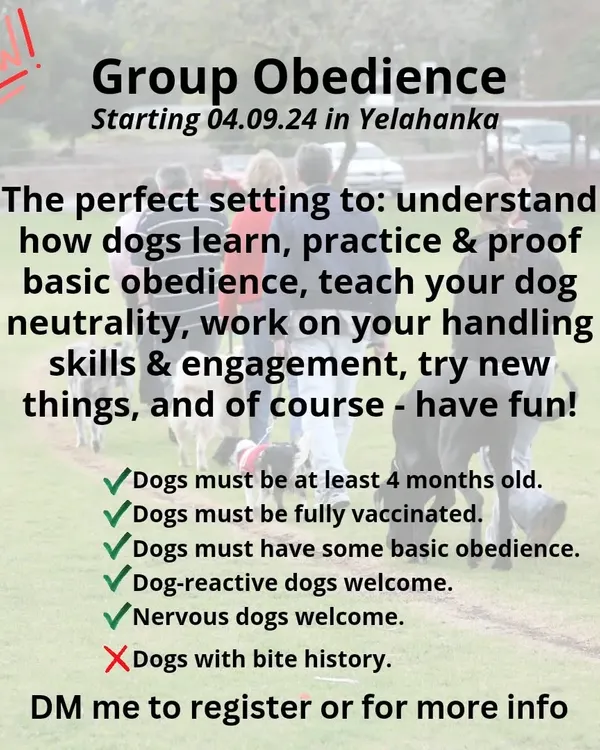 Announcing my new Group Obedience classes in Yelahanka. These sessions are designed to be fun and educational, helping you understand how your dog learns while practicing basic commands in a real-world setting. Nervous or reactive dogs are welcome.