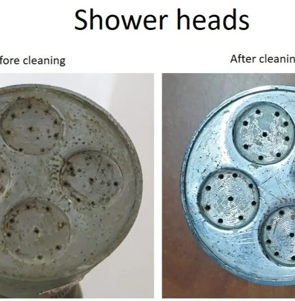 A clear before and after comparison of a cleaned shower head. This simple fix can dramatically improve water flow and is an easy home maintenance task that kids can learn to do themselves.