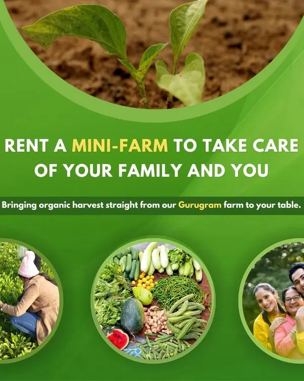 Our 'Rent a Mini Farm' program is designed for you and your family. From a tiny sapling to a full harvest, we empower you to grow your own organic food and ensure the best for your loved ones.