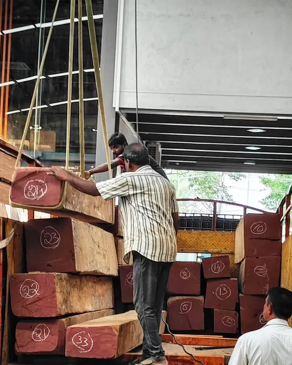 Our fresh stock of Burma Teak logs arriving at the timber yard. We handle large quantities to ensure a ready supply for projects of any scale, from individual homes to large developments.