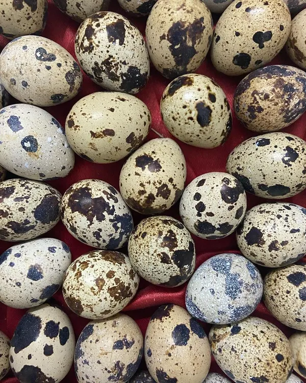 Quail eggs are a fantastic whole food supplement. These tiny eggs are nutritional powerhouses, packed with vitamins and minerals. I source them fresh to be used as a meal topper or a healthy treat.