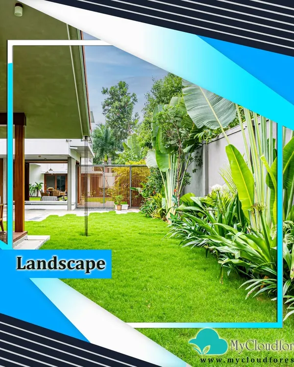 This modern home is surrounded by a vibrant, healthy lawn and bordered by large tropical plants like the Traveller's Palm. The design provides a lush, green view from every window and creates a private, jungle-like feel.
