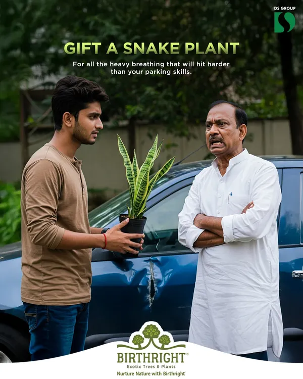 For all the heavy breathing that will hit harder than your parking skills, gift a Snake Plant. It's a humorous and helpful way to say "chill, Dad" and clear the air, literally.