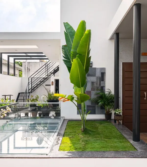 Here, a glass skylight over a portion of the ground floor illuminates the space below while providing a walkable glass floor for the terrace above. This connects two levels of the home with light and greenery.