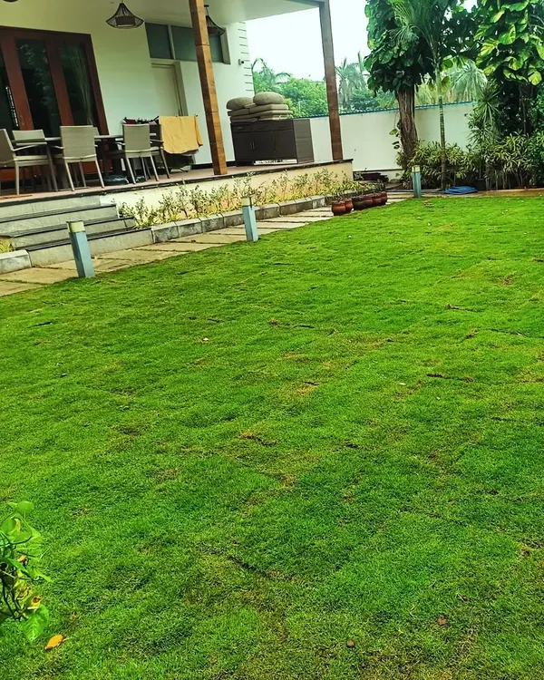 This is what I love to create: a beautiful, lush green lawn that becomes a peaceful oasis for your family. I can help you choose the right grass and design to make your home garden a perfect retreat.