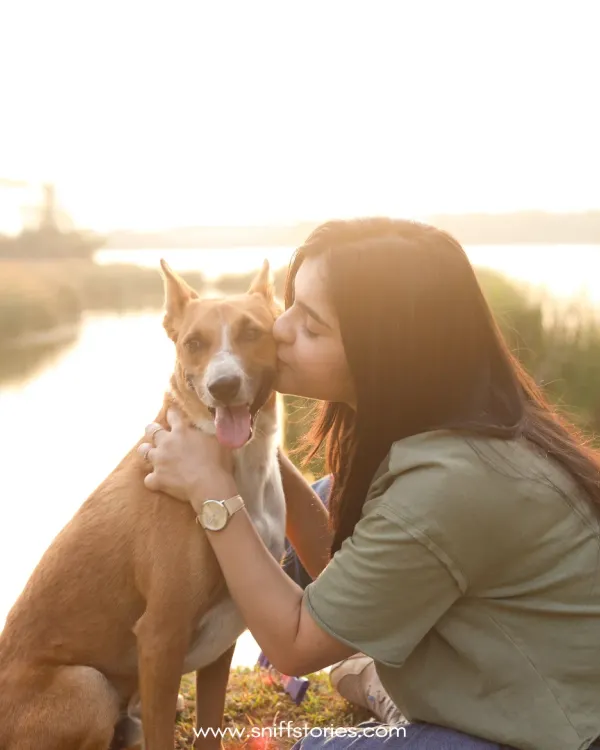 A woman shares a gentle kiss with her rescued indie dog by a lake at sunset, a beautiful portrait of their healing journey together.