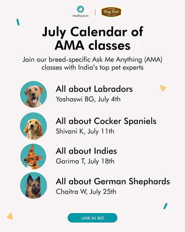 Here is our free AMA calendar for July. Join our breed-specific classes on Labradors, Cocker Spaniels, Indies, and German Shepherds with India's top pet experts.