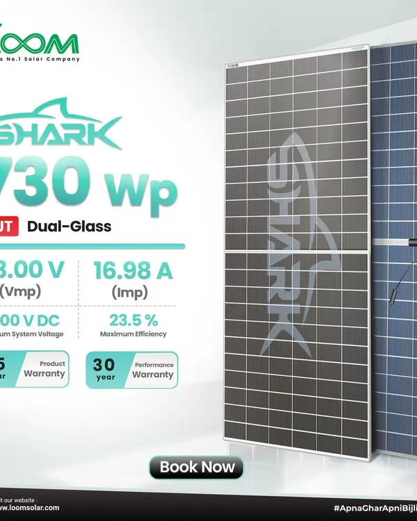 Our SHARK 730Wp HJT Dual-Glass panel is engineered for peak performance, offering 23.5% efficiency and a 30-year warranty. It's the ideal choice for utility-scale and commercial projects where maximum power and long-term reliability are essential.