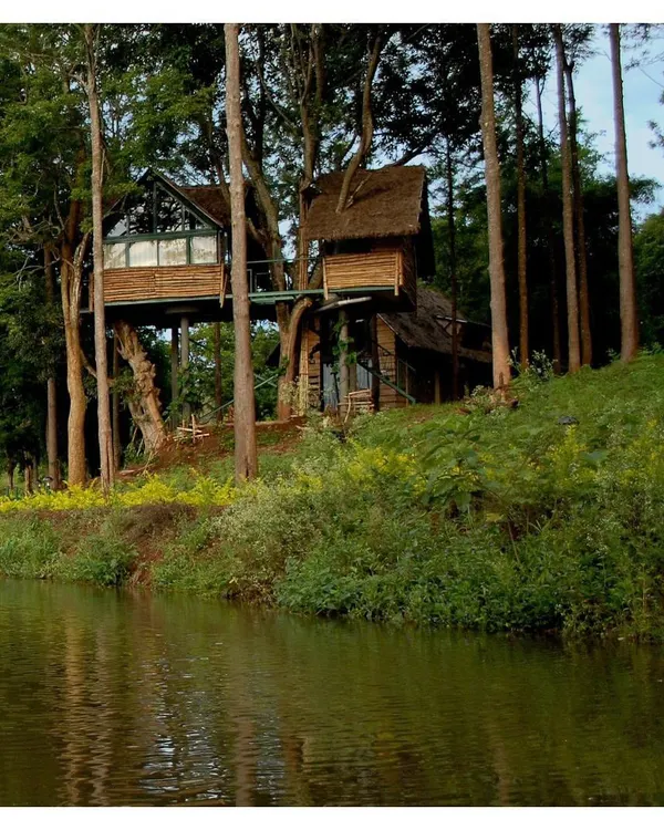 A treehouse at the Gorukana Resort, designed to offer an immersive nature experience. The structure is built around existing trees, demonstrating our commitment to architecture that respects and integrates with its environment.