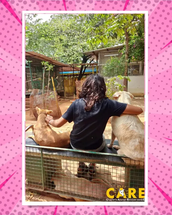 A volunteer shares a quiet moment with two resident dogs, a perfect example of the purest kind of friendship. The time our volunteers spend with the animals is priceless.