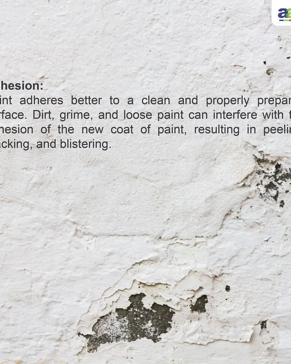 By removing all dirt, grime, and loose particles, we guarantee superior adhesion. This prevents the new coat from peeling, cracking, or blistering, which is common with poorly prepared surfaces.