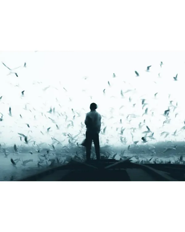 a lone figure on a boat surrounded by birds. i'm drawn to high-contrast, atmospheric scenes that tell a story with a single frame.