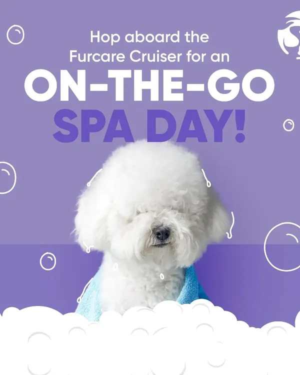 This fluffy white dog is the picture of relaxation after a spa day with the Furcare Cruiser. We bring the pampering to you, so your pet can feel this blissful without ever leaving home.