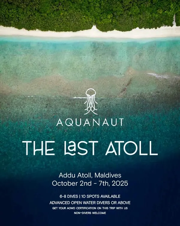 Ever traveled below the equator? This October, we're heading to Addu Atoll, the last island in the Maldives, for a special trip full of sharks, mantas, and rays.
