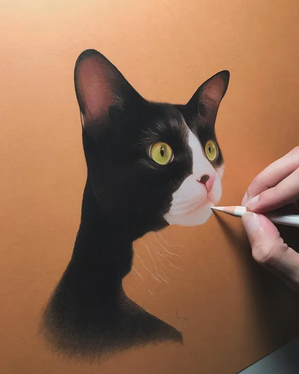 A glimpse into the process of drawing a tuxedo cat with color pencils. I start by carefully mapping out the features and then begin to build up the rich, dark fur and the bright, curious eyes, ensuring every detail is perfect.