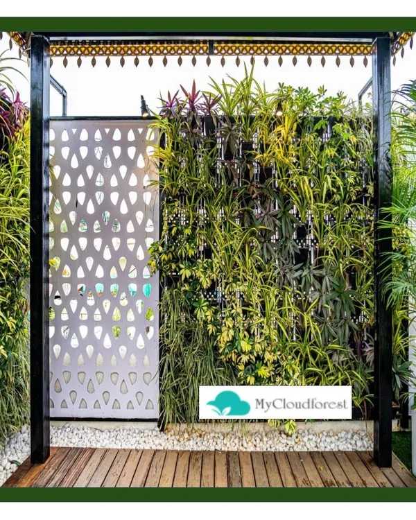 Modern design meets natural beauty in this entryway. I created a dense vertical garden that acts as a living wall, providing privacy and a burst of greenery. It is perfectly complemented by a sleek wooden deck and a custom-patterned metal screen, showcasing a blend of textures and materials.