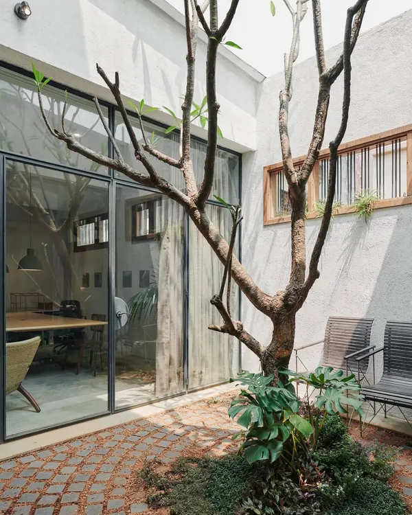 Our office courtyard, with its central frangipani tree, brings light and peace into the workspace. It serves as a perfect spot for team lunches and breakout moments, connecting our team with nature throughout the day.