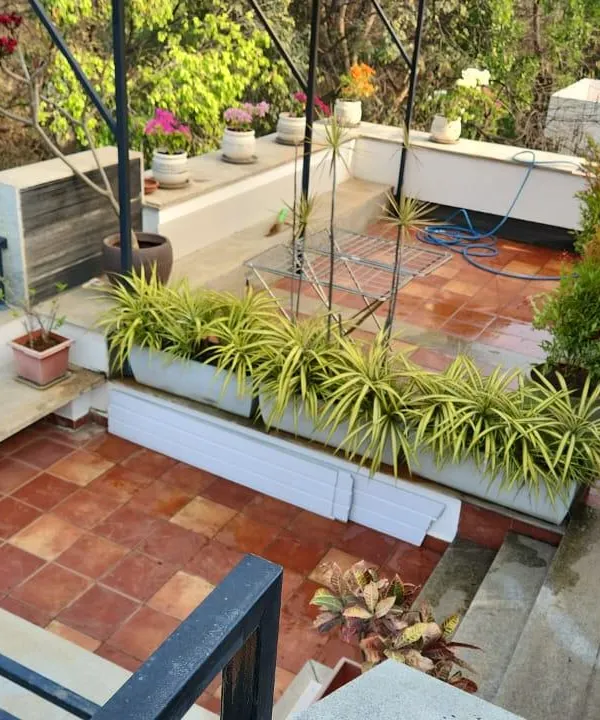 An overhead view of a balcony garden setup in HSR Layout. This angle shows the layout with terracotta tiles, long planter boxes filled with spider plants, and a variety of potted plants along the wall, creating a multi-level green space.