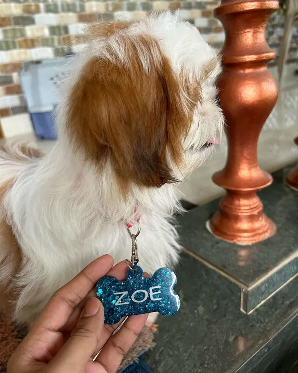 A close-up of Zoe's custom pet tag. It's a bone shape in a sparkly blue glitter with her name in a clean white font.