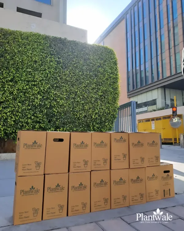We are equipped to handle large-scale orders. Here you can see a bulk delivery of our branded gift boxes, ready to be distributed at a corporate office, demonstrating our capacity and professionalism.