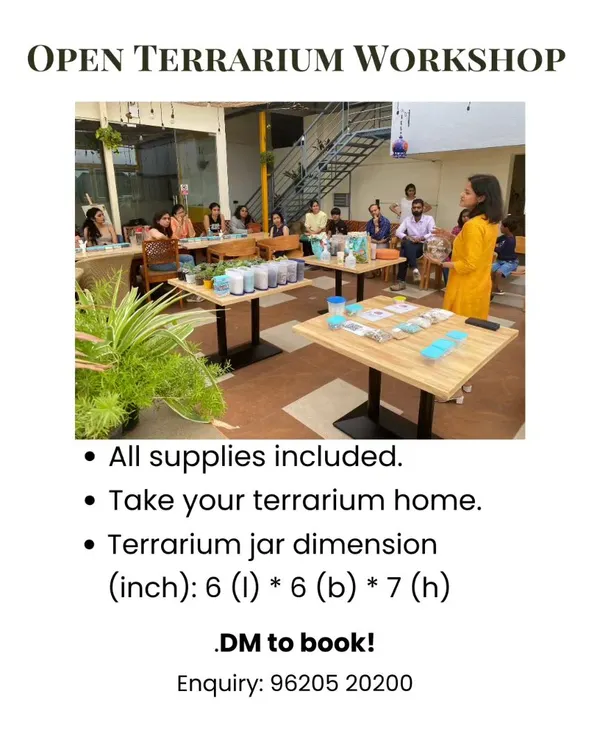 An announcement for one of our open terrarium workshops. We always make sure to include all the details, so you know exactly what to expect.