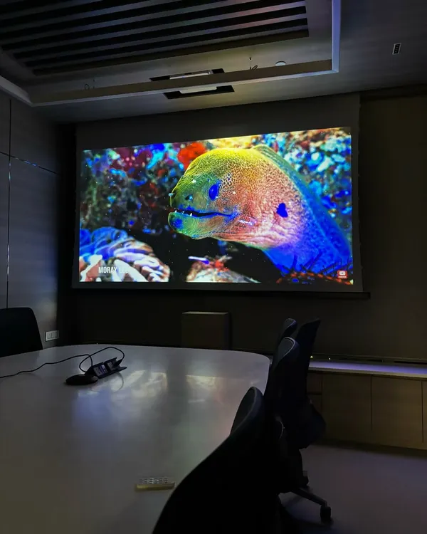 A powerful Optoma ultra-short-throw laser projector delivers a stunningly bright and colorful image on a 120-inch screen, making it ideal for modern conference rooms where you can't always control the lighting.