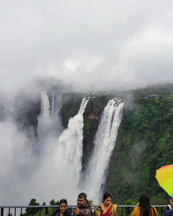 The mighty Jog Falls in Shivamogga, partially shrouded in monsoon mist. We visit this giant on our Sharavathi Valley trips, offering a spectacular view of one of India's most famous waterfalls.