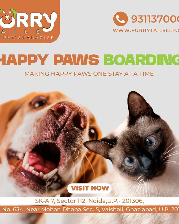 Our "Happy Paws Boarding" service promises to make happy paws one stay at a time. We welcome both dogs and cats at our Noida and Vaishali locations.