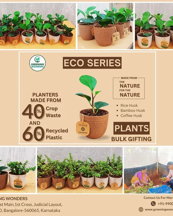 This collage highlights our Eco-Series pots, a sustainable choice for bulk gifting. Made from rice husk, bamboo husk, and recycled materials, these planters support both healthy plants and a healthy planet.