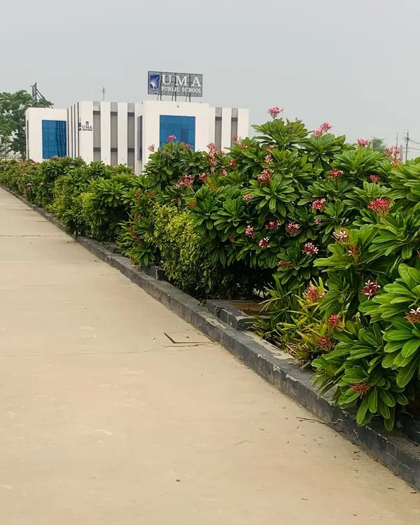 The entrance to Uma Public School, our home base in Greater Noida. The lush greenery provides a welcoming and serene environment for our academy.