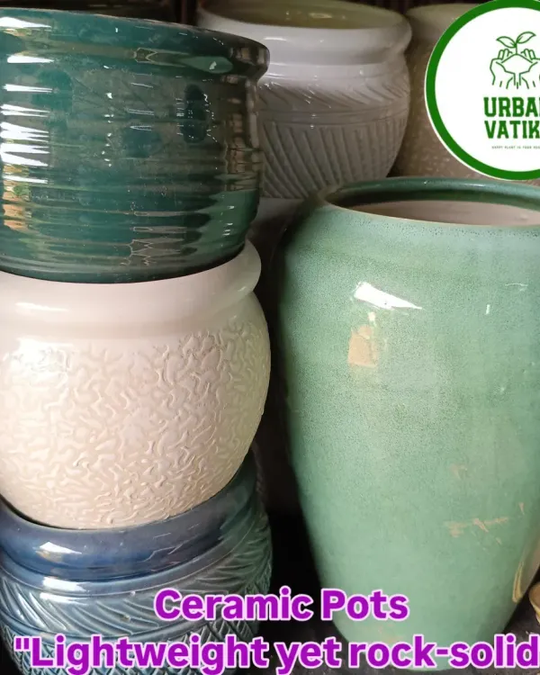 A collection of my ceramic pots. They are lightweight yet rock-solid, perfect for both indoor and outdoor use.