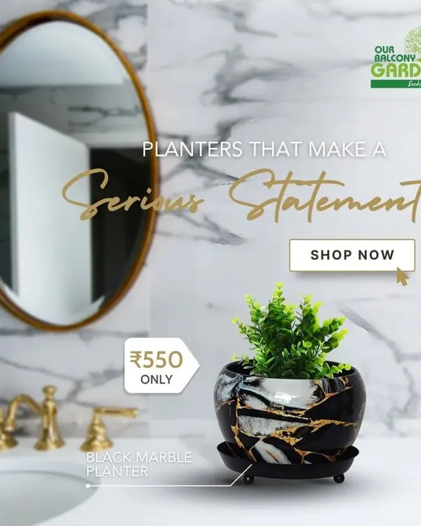 Make a serious statement with our black marble metal planter. For just ₹550, this pot adds a touch of luxury to any bathroom or tabletop.