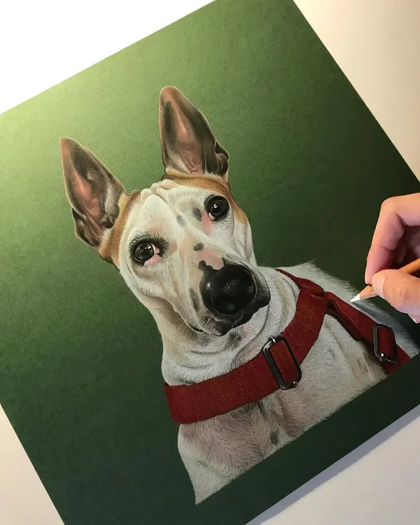This is a portrait of my own dog, Chinku. Creating this piece helped me realize how important it is to preserve these cherished memories, capturing the soul behind the eyes. This is a work in progress, drawn with professional color pencils on archival paper.