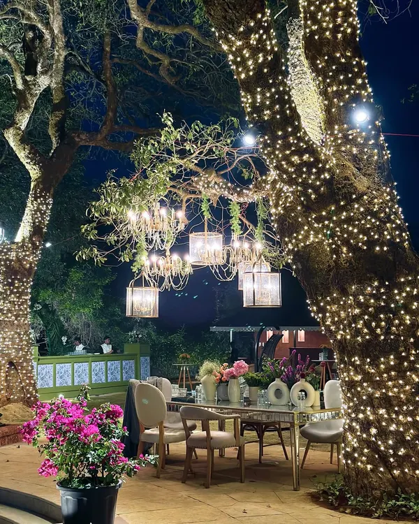An evening in an enchanted garden in Mahabaleshwar. Here, I wrapped ancient trees in thousands of fairy lights and hung chandeliers from their branches, creating a magical dining experience where nature and glamour meet.