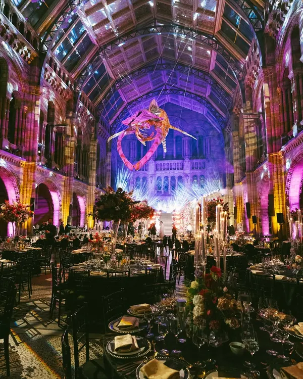 A reception at the Natural History Museum in London. We transformed this iconic space with a full custom lighting production, bathing the architecture in vibrant purples and blues to create a truly magical atmosphere under the famous whale skeleton. This is what we do: create moments that are absolutely unforgettable.